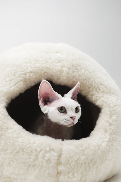 Nest Natural Woolen Pet Bed - White