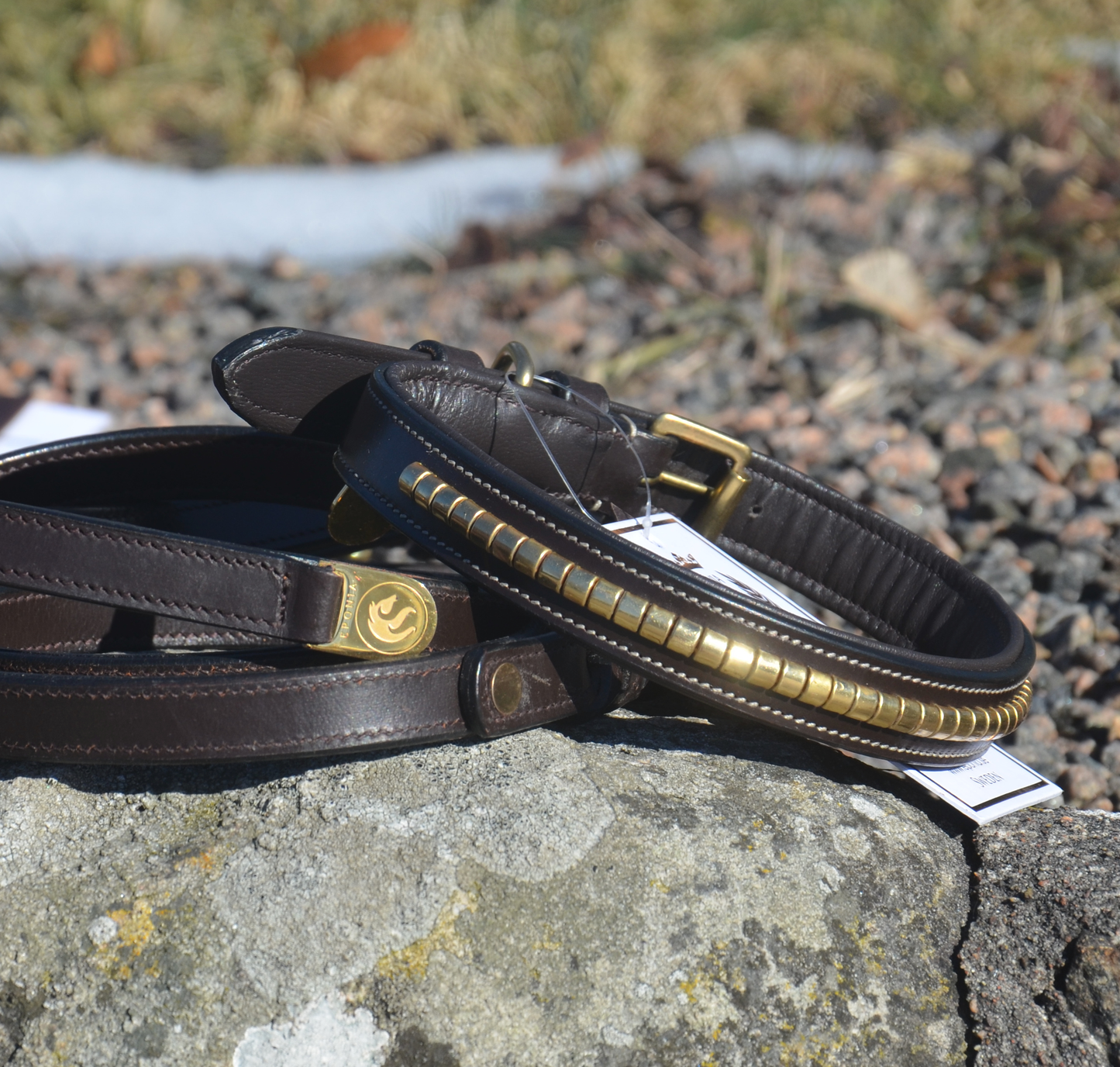 Premium dog collar in natural tanned leather and classic clincher
